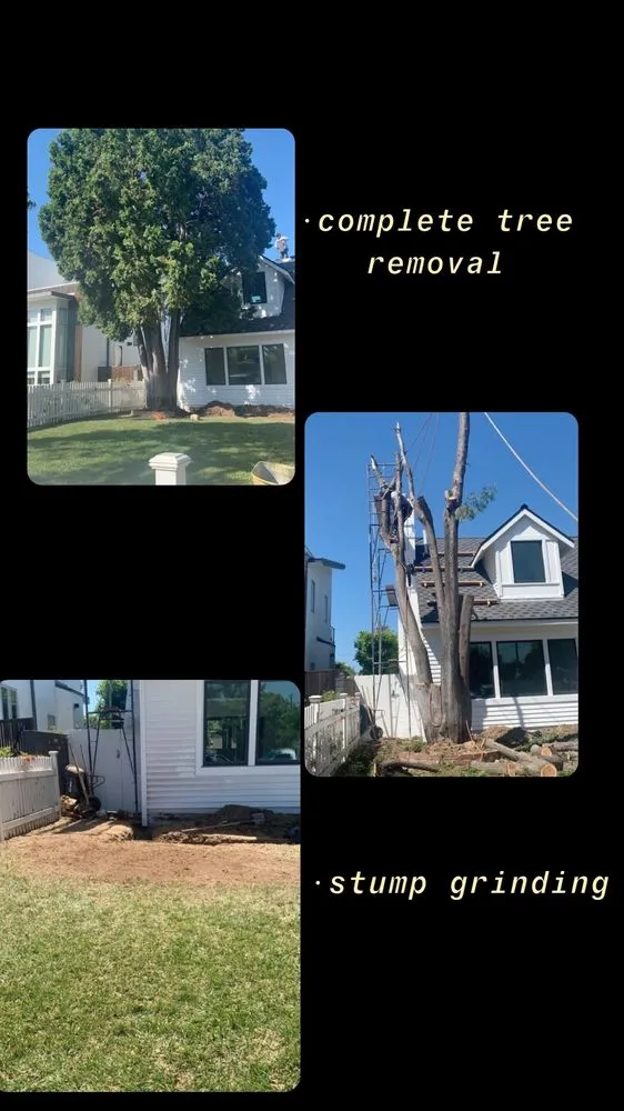 Top-rated landscape installation for beautiful yards across Compton, CA - Jr’s Landscaping