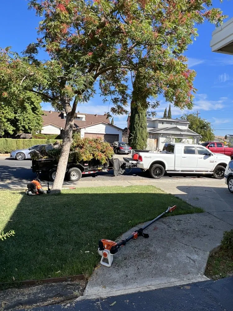 Reliable residential landscaping experts serving Fairfield, CA - Jr's Landscaping