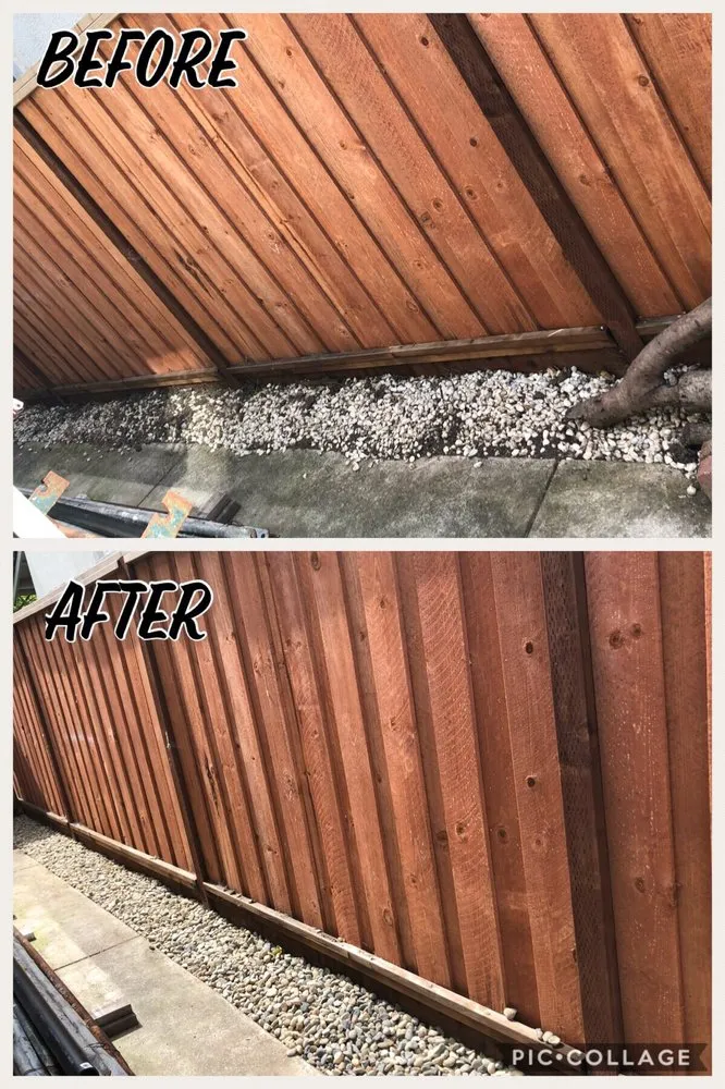 Custom yard cleanup service for homes across Fairfield, CA - Jr's Landscaping