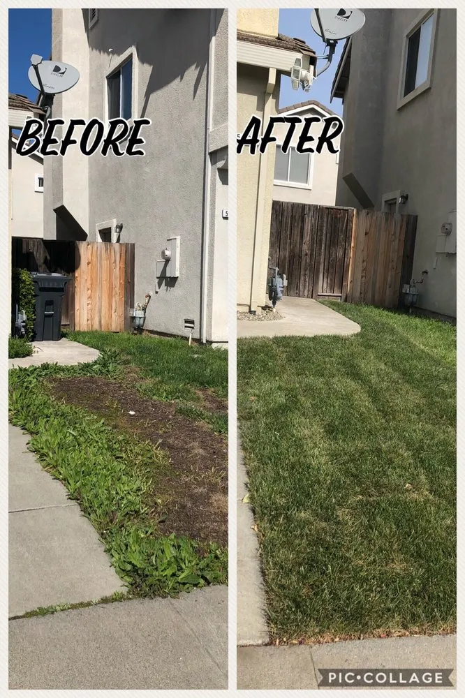 Professional outdoor landscaping experts serving Fairfield, CA - Jr's Landscaping