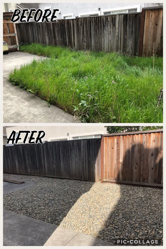 Expert landscaping services in Fairfield, CA - Jr's Landscaping