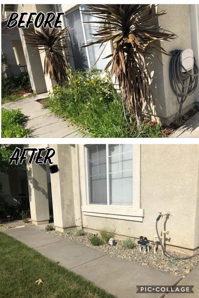 Affordable landscape installation near you across Fairfield, CA - Jr's Landscaping