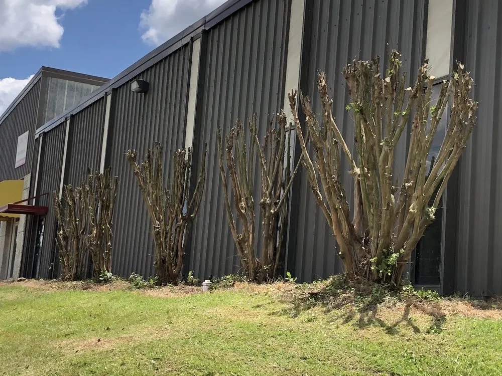 Custom outdoor landscaping experts serving Ninety Six, SC - JR’s Landscaping Plus