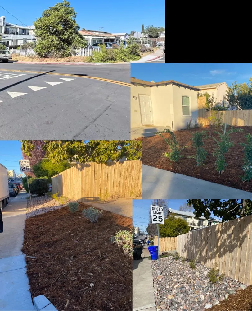 Top-rated yard cleanup service in Ramona, CA - Jr’s Landscaping
