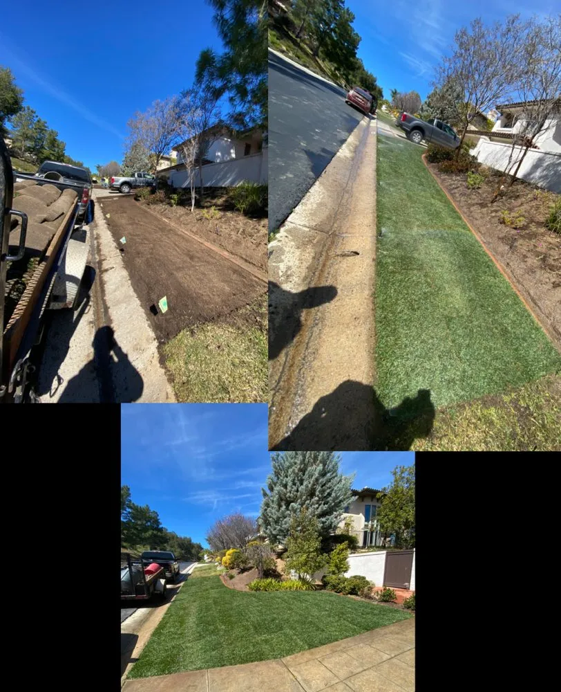 Professional residential landscaping in Ramona, CA - Jr’s Landscaping