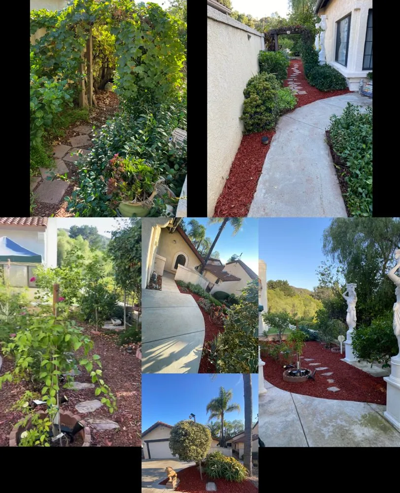 Custom lawn care service in Ramona, CA - Jr’s Landscaping
