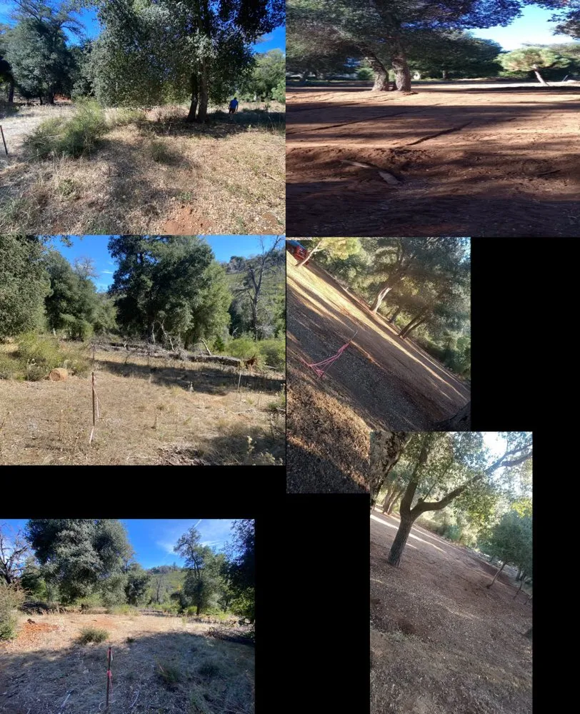 Affordable landscape installation for year-round maintenance in Ramona, CA by Jr’s Landscaping