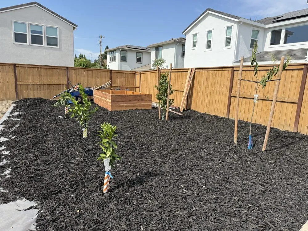 Top-rated yard maintenance experts serving Sacramento, CA - Jrs Landscaping