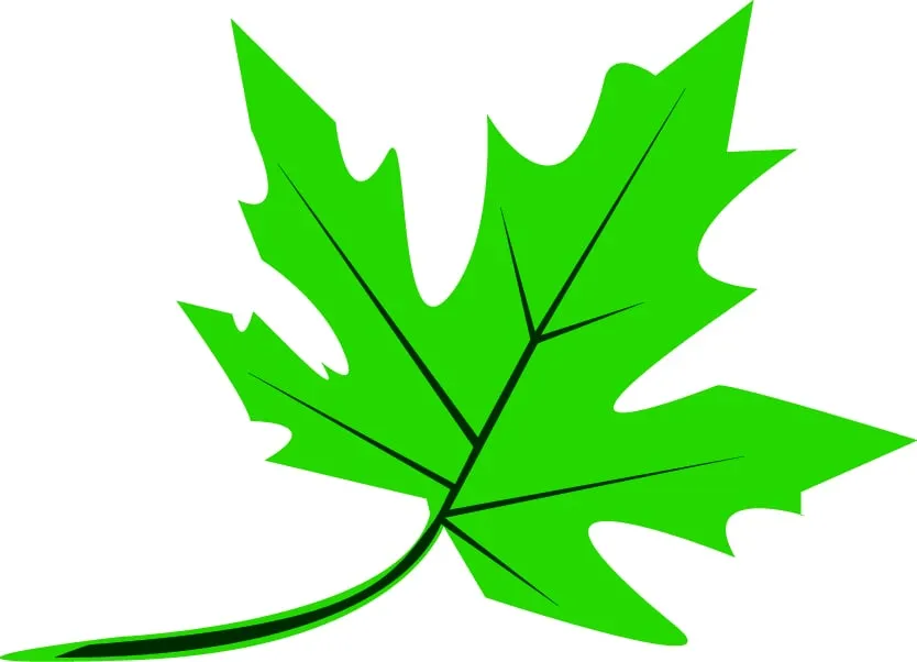 Professional landscape installation in State College, PA - JRS Landscaping