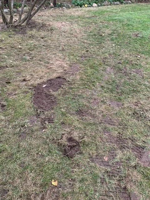 Custom outdoor landscaping for beautiful yards in Stoughton, MA by JR's Landscaping