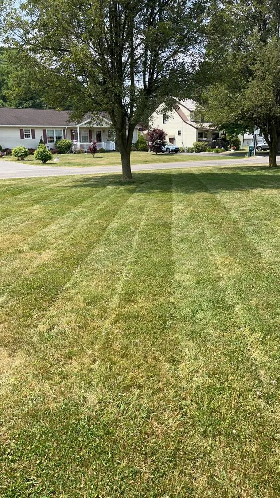 Local landscape installation in Valencia, PA - Jr’s Landscaping