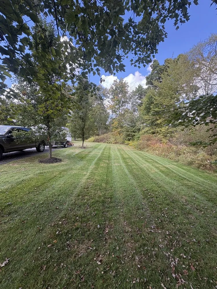 Trusted yard cleanup service experts serving Valencia, PA - Jr’s Landscaping