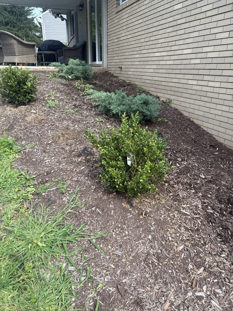 Top-rated yard cleanup service in Valencia, PA - Jr’s Landscaping