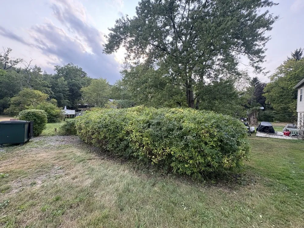 Reliable landscape installation experts serving Valencia, PA - Jr’s Landscaping