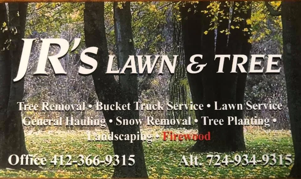 Reliable lawn care service in Sewickley, PA - Jr's Lawn & Tree