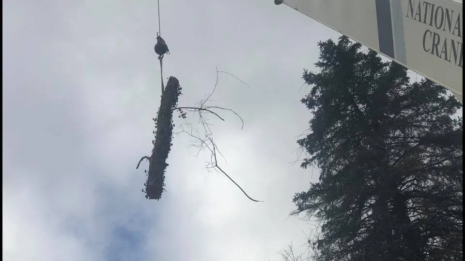 Reliable lawn mowing service near you across Sewickley, PA - Jr's Lawn & Tree