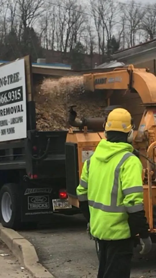 Trusted landscape installation for year-round maintenance across Sewickley, PA - Jr's Lawn & Tree