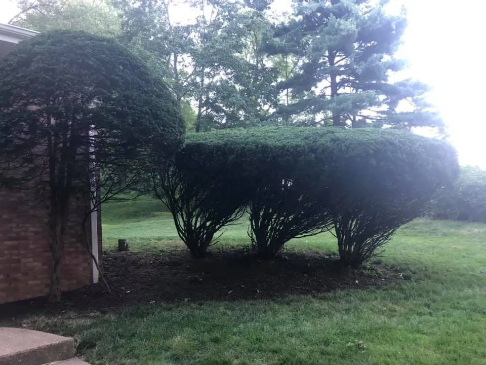 Local landscaping services experts serving Sewickley, PA - Jr's Lawn & Tree