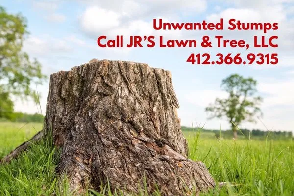 Jr's Lawn & Tree
