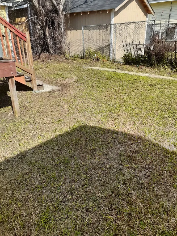 Reliable outdoor landscaping in New Orleans, LA - Jr's lawn and handyman services