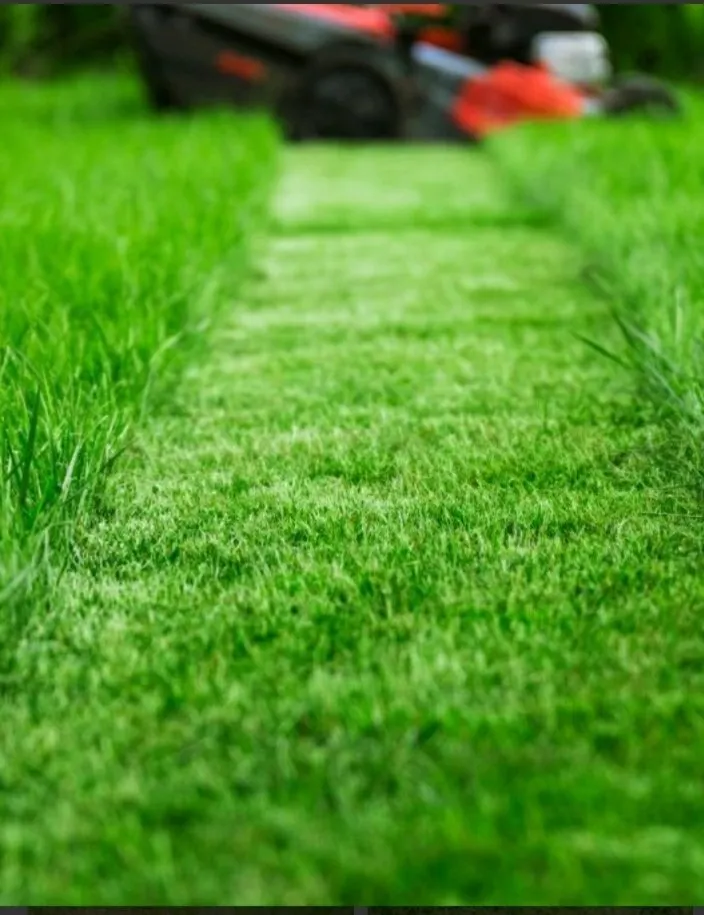 Top-rated landscaping services with custom design across New Orleans, LA - Jr's lawn and handyman services