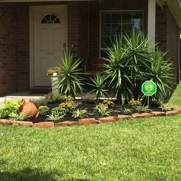 Professional landscape design in Spring, TX - Jr's Lawn Care & Landscaping