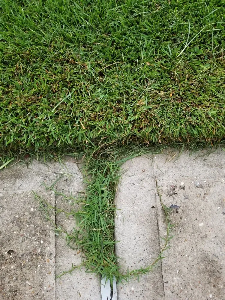 Top-rated lawn care service near you in Spring, TX by Jr's Lawn Care & Landscaping