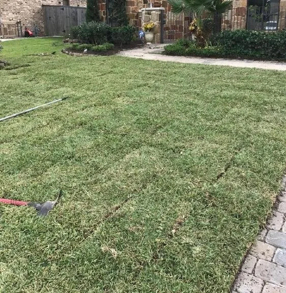 Local garden landscaping experts serving Spring, TX - Jr's Lawn Care & Landscaping