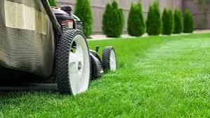 Reliable lawn care service for year-round maintenance in Cold Spring, MN by JRS Lawn Care