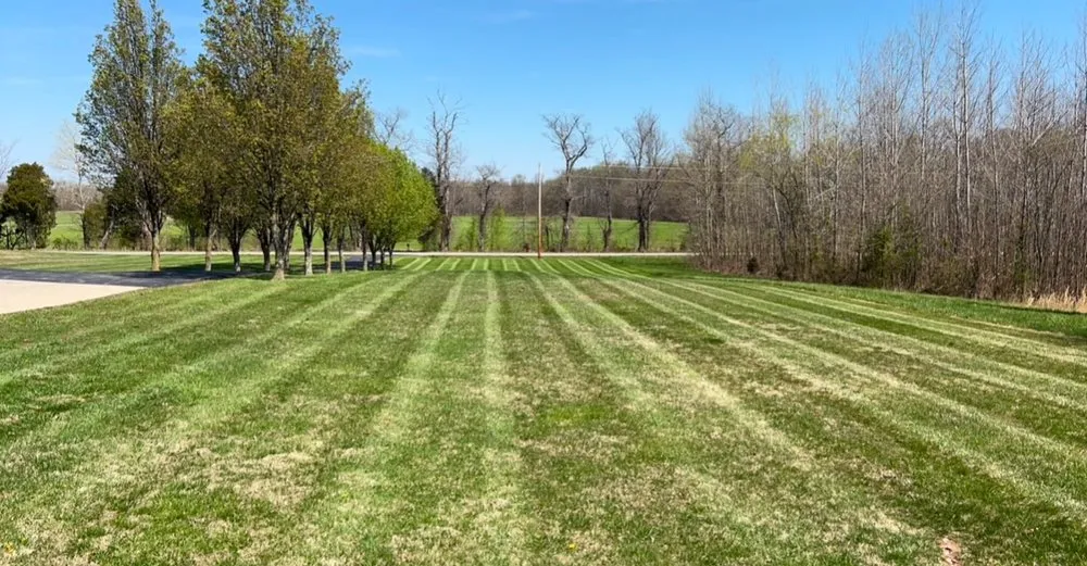 Top-rated yard cleanup service near you in Scottsburg, IN by JR’S Lawn Care