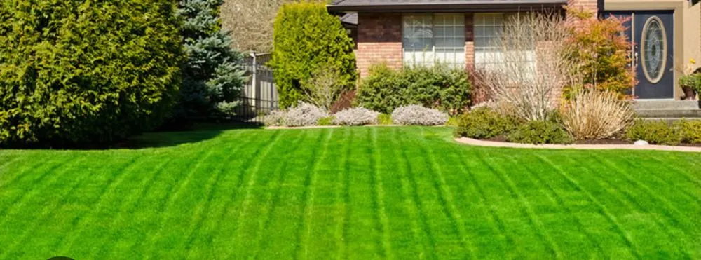 Reliable residential landscaping for homes in Lake Jackson, TX by Jrs Lawn Cuts