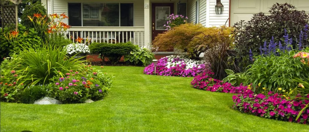 Custom yard cleanup service experts serving Lake Jackson, TX - Jrs Lawn Cuts