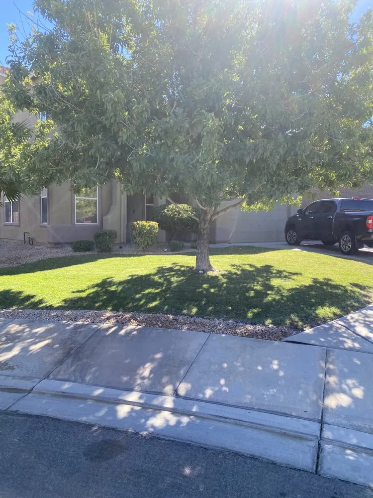 Expert landscape design in Henderson, NV by Jr's Lawn Maintenance