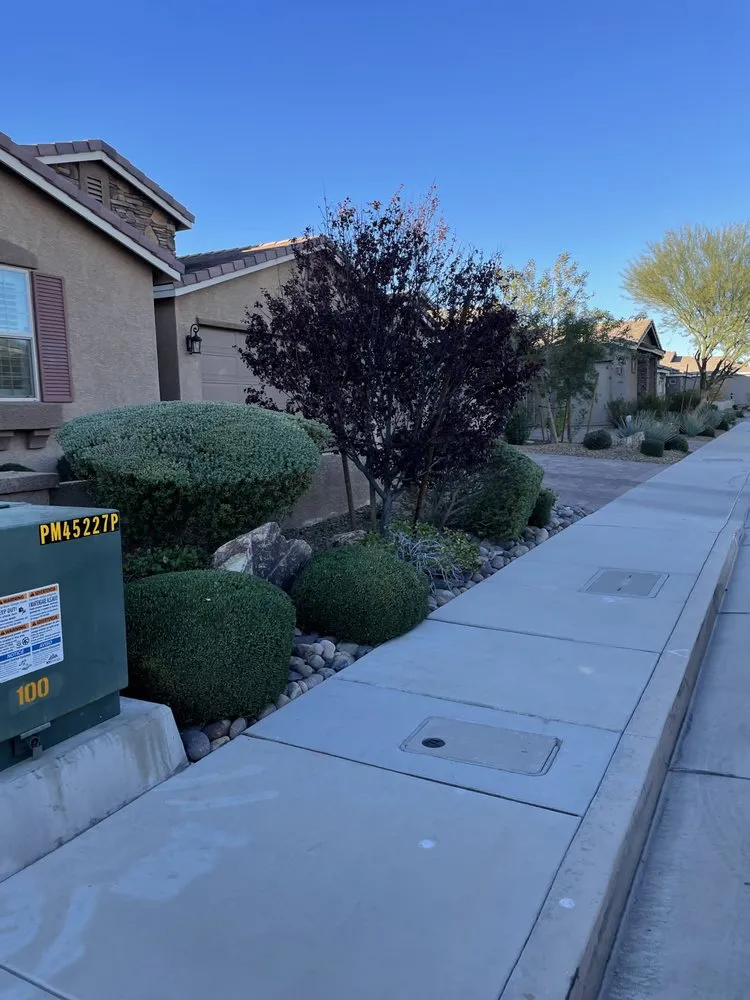 Local landscaping services with custom design in Henderson, NV by Jr's Lawn Maintenance