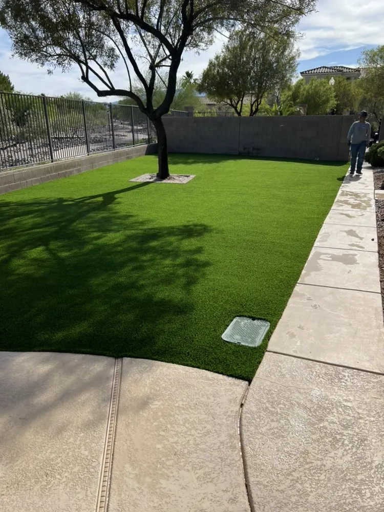 Trusted yard maintenance experts serving Henderson, NV - Jr's Lawn Maintenance
