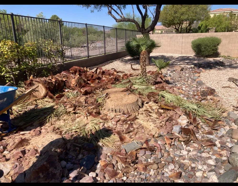 Professional landscaping services for residential properties in Henderson, NV by Jr's Lawn Maintenance