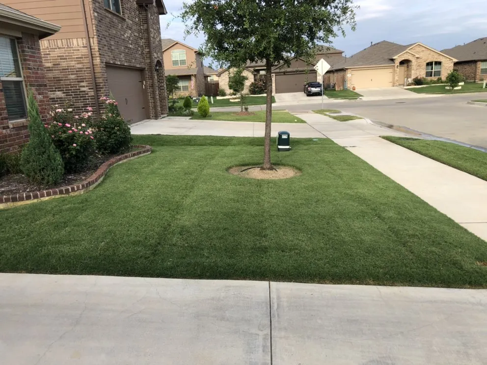 Local yard cleanup service in Saginaw, TX - JRs Lawn Mowing Service