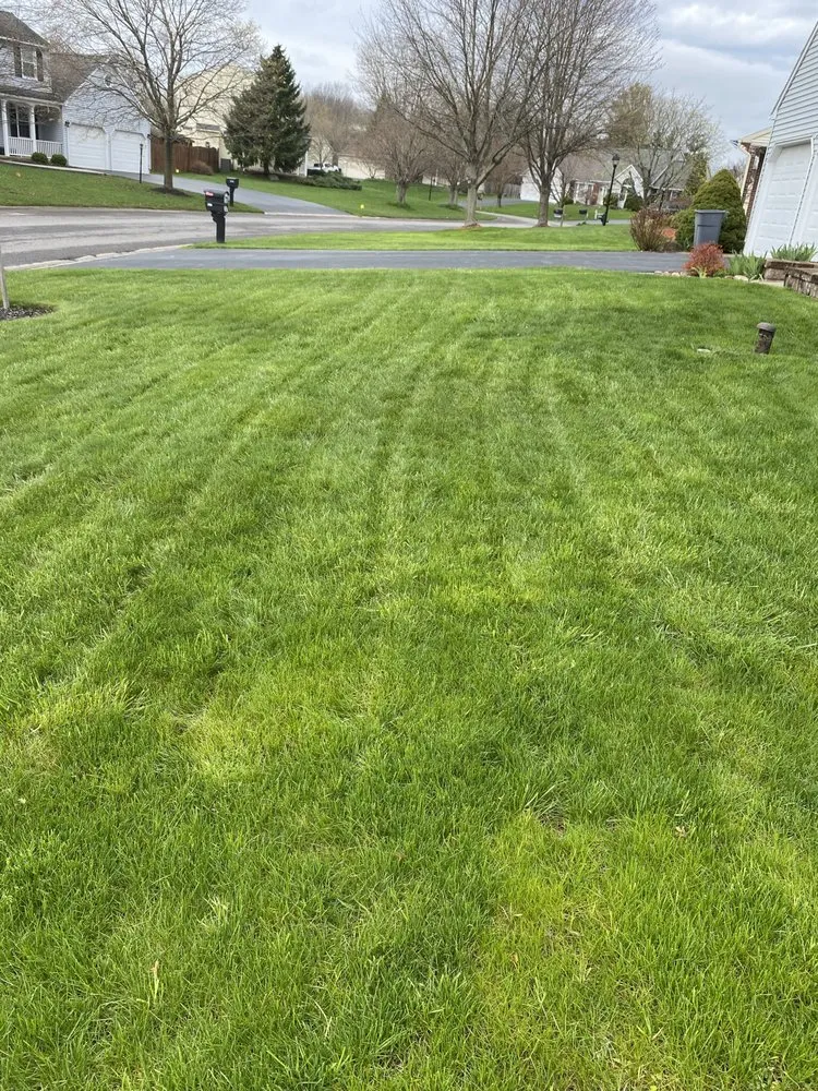 Affordable yard cleanup service in Oswego, NY by JR's Lawn Scapes