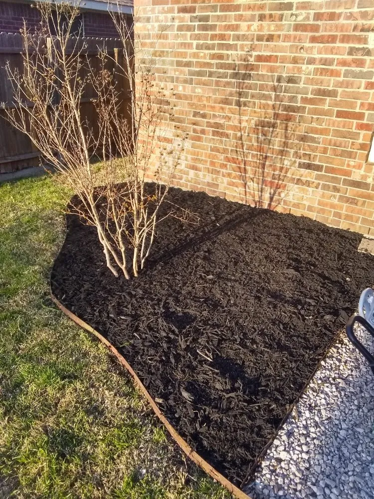 Top-rated yard cleanup service for residential properties across Oklahoma City, OK - J.R.'s lawn service