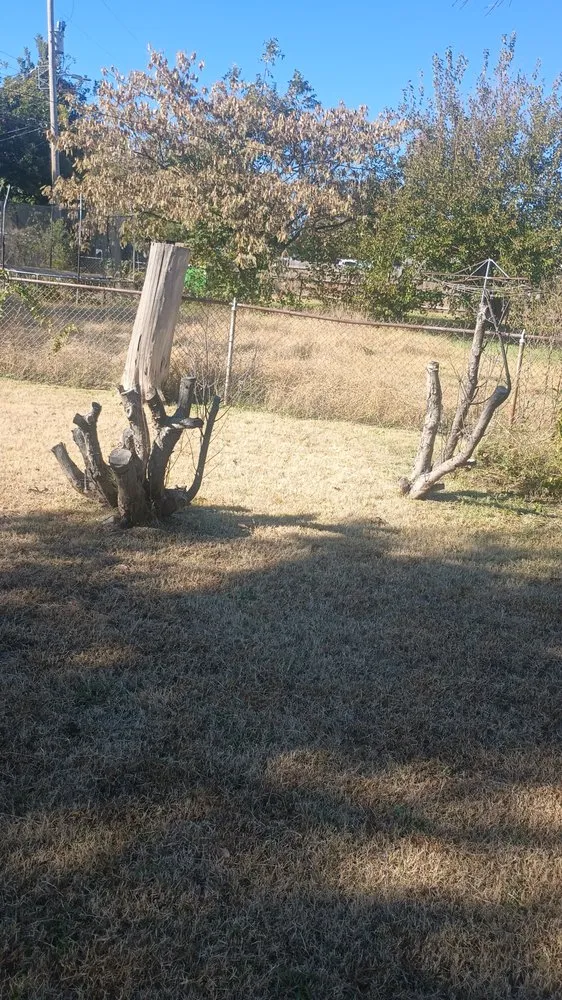 Trusted landscape installation for beautiful yards in Oklahoma City, OK by J.R.'s lawn service