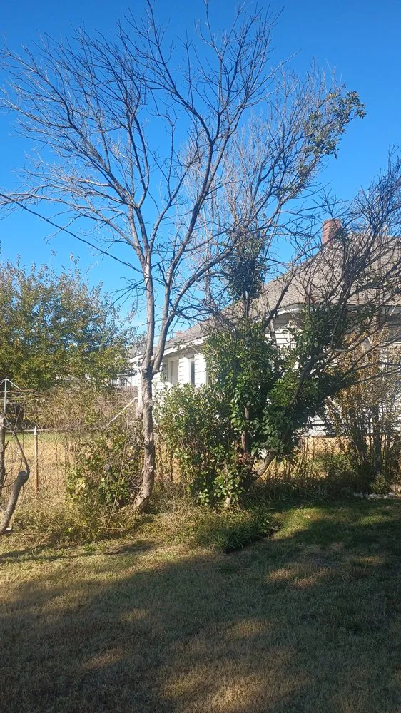 Custom garden landscaping in Oklahoma City, OK - J.R.'s lawn service