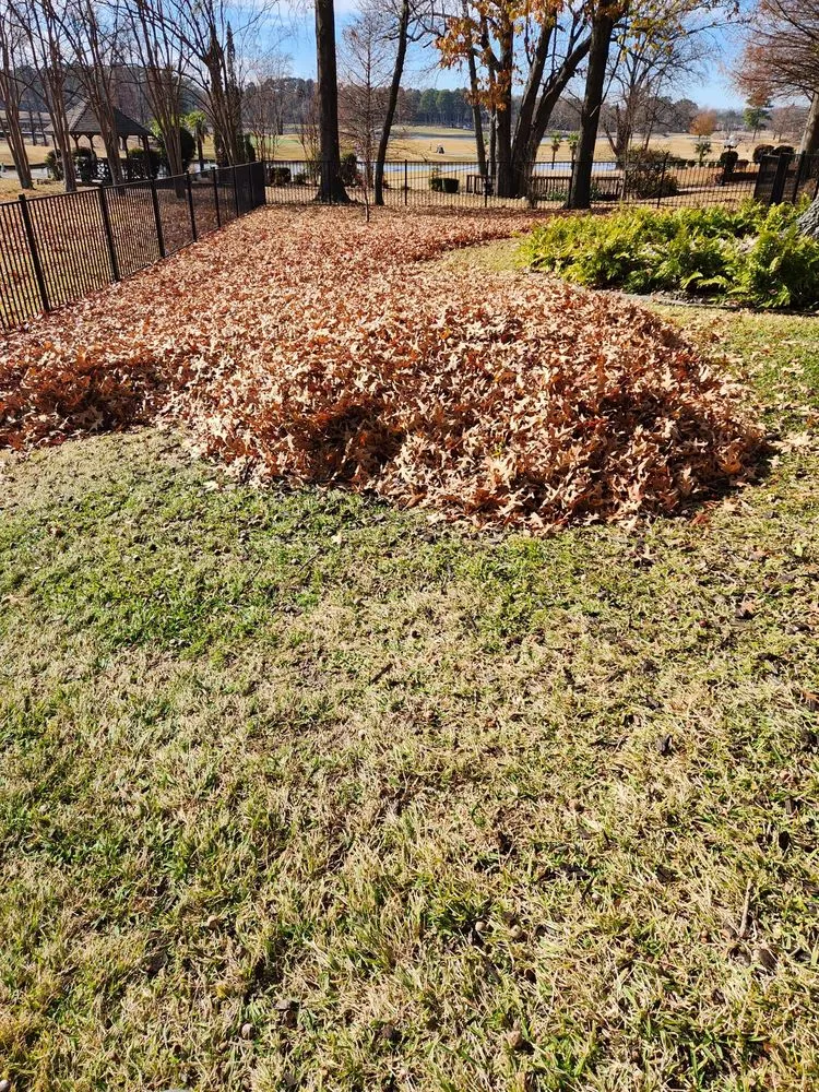 Top-rated yard cleanup service experts serving Mount Pleasant, TX - Jr's Outdoor Services