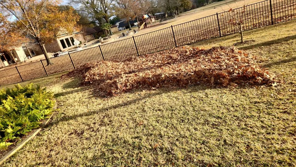 Expert outdoor landscaping for homes across Mount Pleasant, TX - Jr's Outdoor Services