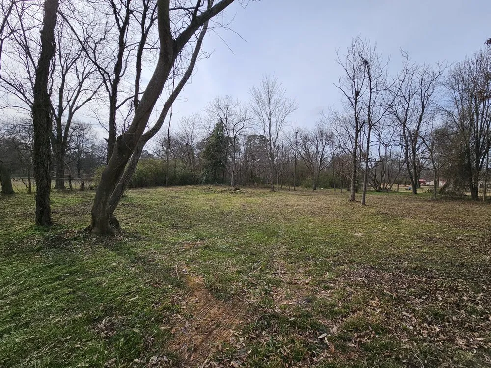 Expert yard cleanup service in Mount Pleasant, TX by Jr's Outdoor Services