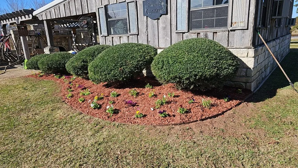 Reliable outdoor landscaping near you in Mount Pleasant, TX by Jr's Outdoor Services