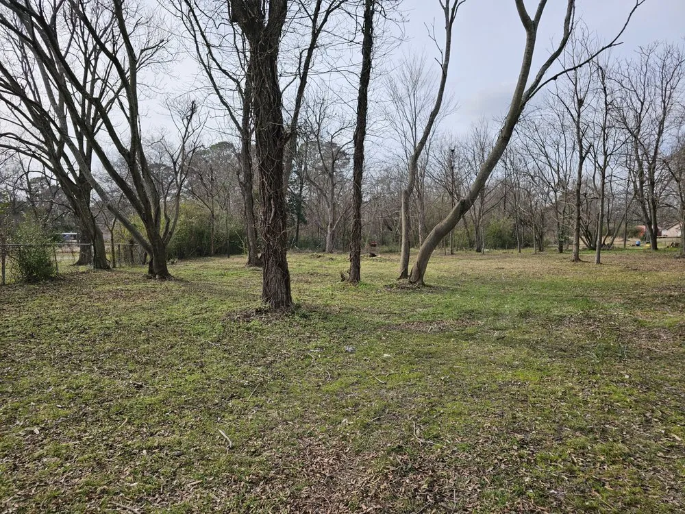 Affordable landscaping services experts serving Mount Pleasant, TX - Jr's Outdoor Services