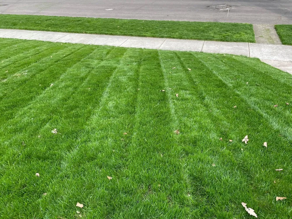 Reliable lawn care service experts serving Omaha, NE - JR’s Outdoor Services
