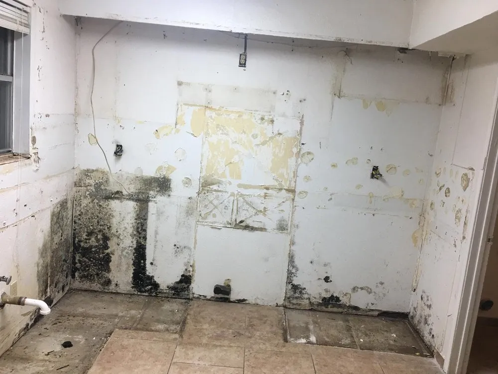 Custom landscaping services experts serving Fort Worth, TX - JR's Remodeling and Home Repair