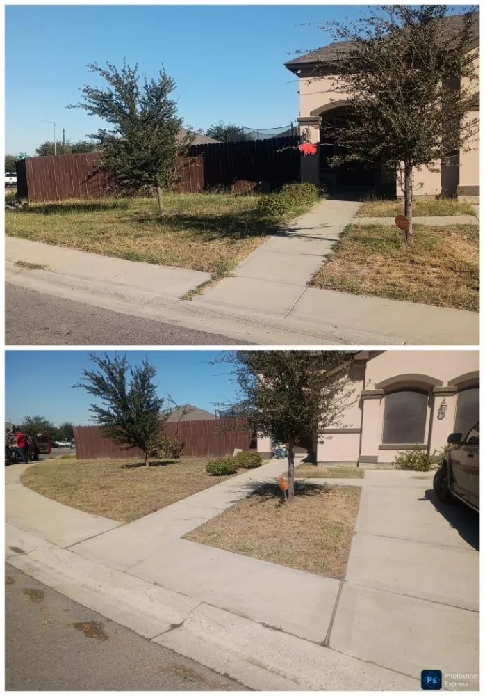 Professional garden landscaping in Laredo, TX - Jr's Royal