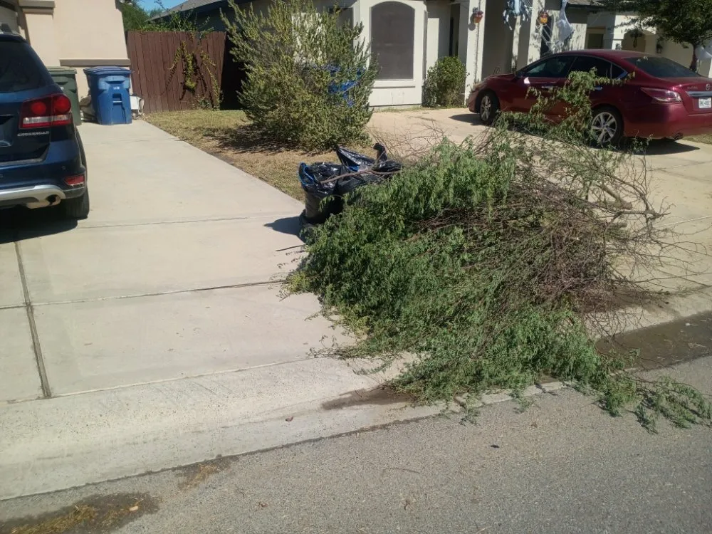 Affordable lawn mowing service in Laredo, TX by Jr's Royal